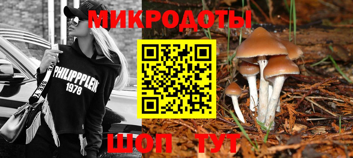 Галлюциногенные грибы MAGIC MUSHROOMS  Вход с VPN  где продают наркотики  Усть-Илимск 